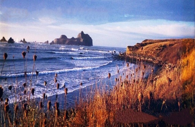 Schritte zum Pebble Beach und kurze Fahrt nach Redwoods