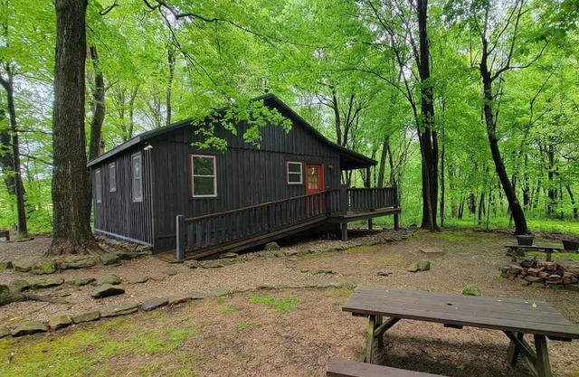 Forest Cabin #1 at Camp Because I Said I Would