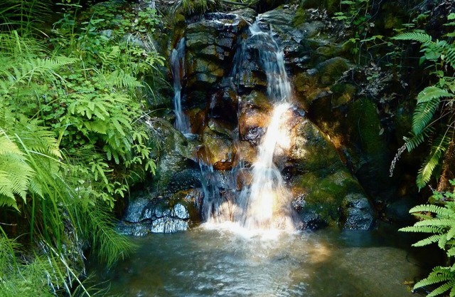 Forest Cottage in Big Sur w/Private Hiking & Hot Tub