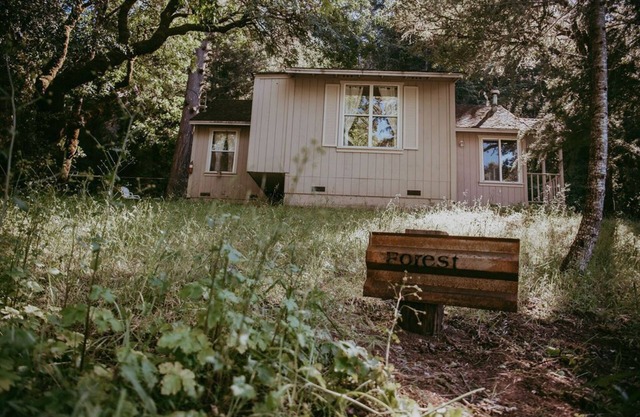 Forest Cottage