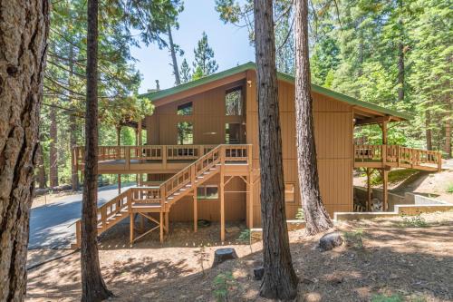 Forest Haven