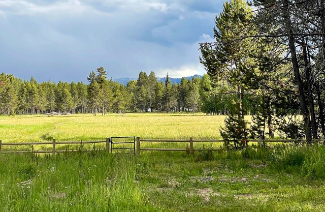 Forest retreat with meadow views, family warmth, starry nights and a hot tub