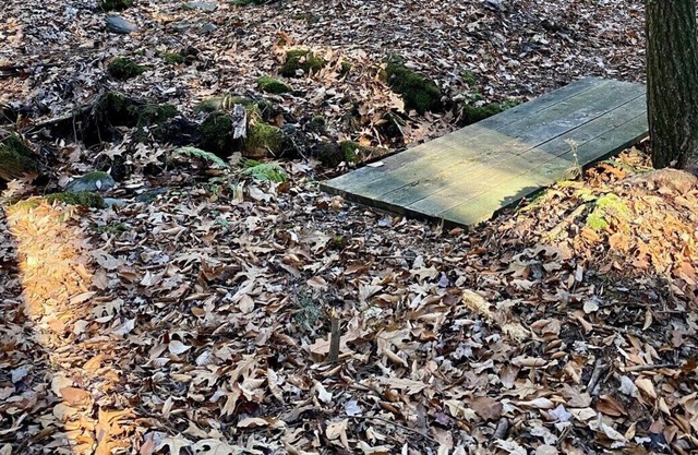former summer camp/3 cabins/glamping tents/60acres