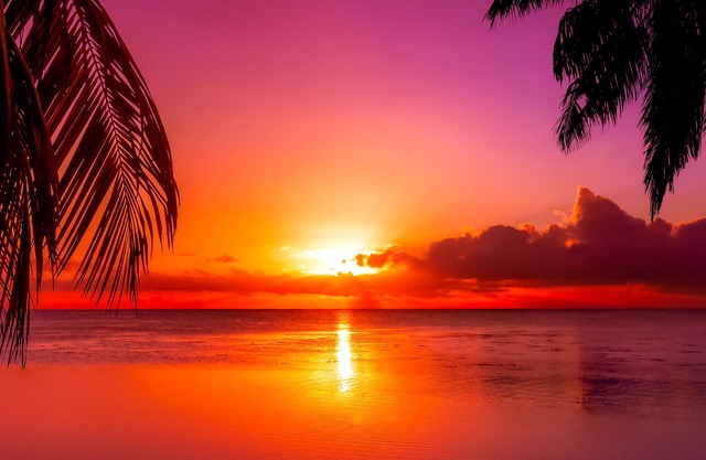 Fort Lauderdale Cottage - Free Parking near Beach