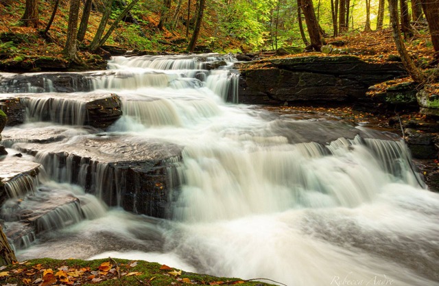 Catskill Contemporary Retreat - Ein Traum erwartet !!