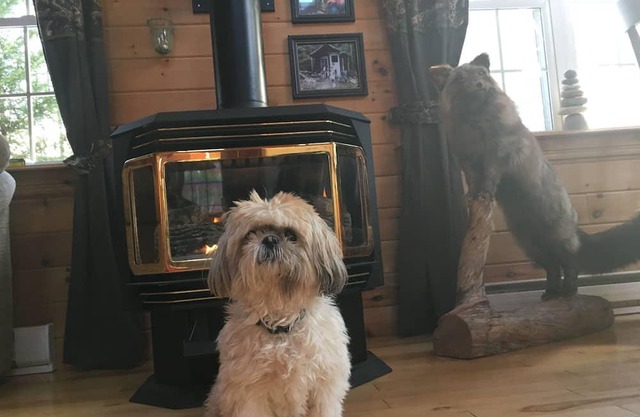 Fox Harbor Wilderness Lodge