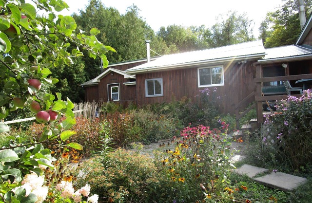 Foymount Farm stay with horses, Family and pet friendly