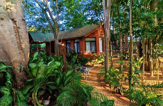 Free pet-friendly nice Cabin/Wifi/AC/Kitchen/Grill