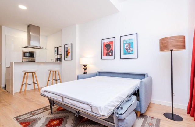 Francisco Remiro Fabulous Furnished Apartments in Guindalera