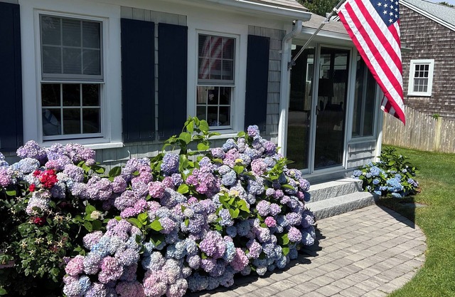 Frank's Cozy Cape Cod Beach Cottage