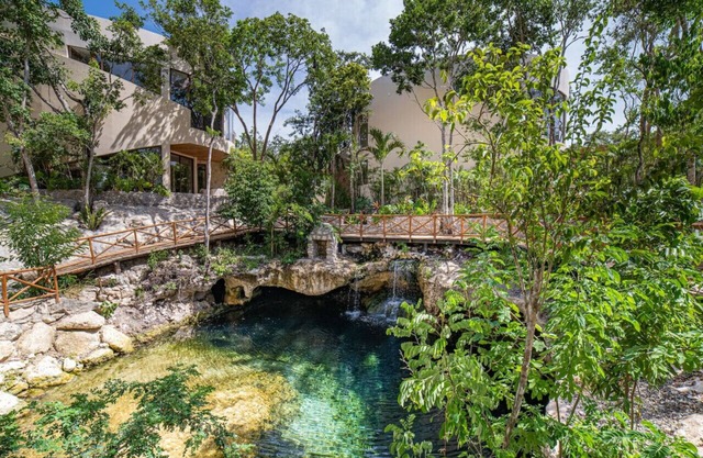 Amazing Luxury StudioJungle Enviroment with cenote