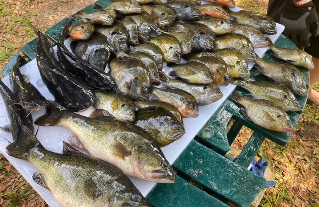 FREE Boat to use - Fish from the TIKI outback - Dock your boat on canal- Pets OK
