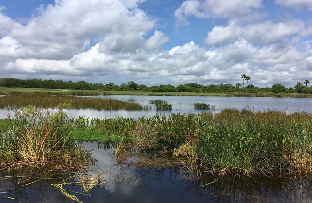 Kostenlose Golf & Ausstattung mit Mitgliedschaftstransfer. River Strand Eigentumswohnung
