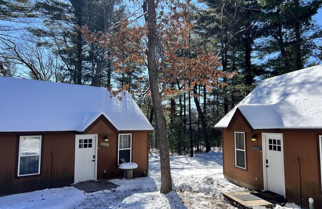 Freedom Cabin with Sandstone Canyon & Dock on the WI River in Wisconsin Dells