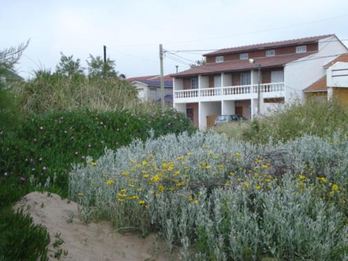 Frente al Mar sobre Costanera casi 87