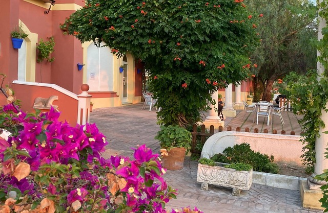 Fuente de la Salud, a place to forget about the past