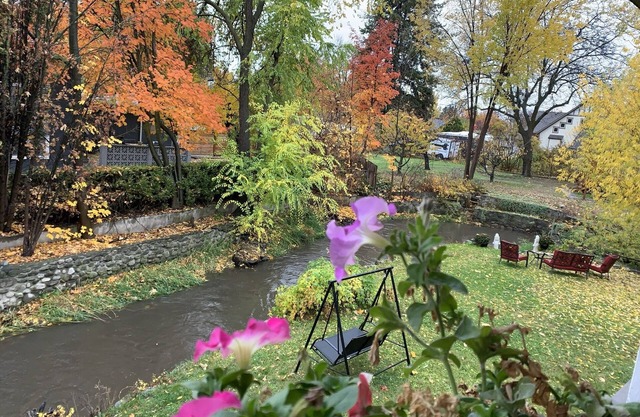 Full 2 bedroom Suite near Hospital, Downtown & Lake. Kelowna's Natures Oasis