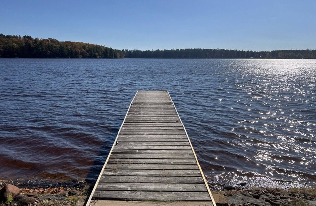 Eulennest Auf Rangeline See