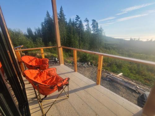 Funky Forest Bnb