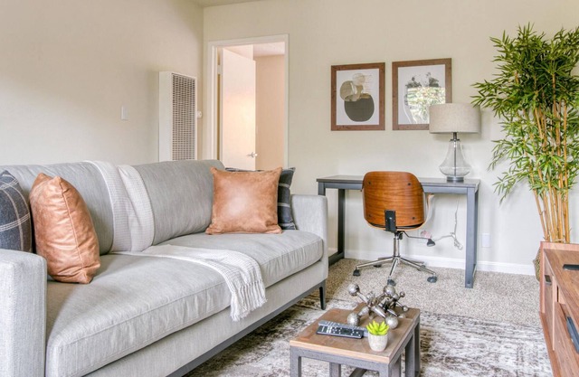 Furnished 1BR in Walnut Creek + Pool