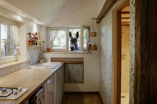 Gîte à la ferme - Animaux et séjour ressourçant