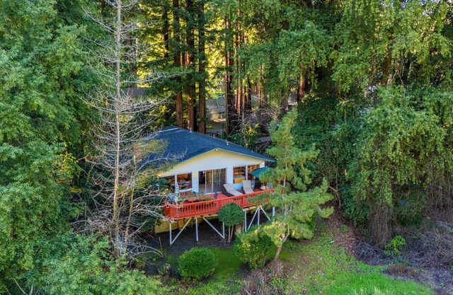 G's River View!On River Near, Golf Course! Enchanting & Fun and NEW Cabin!