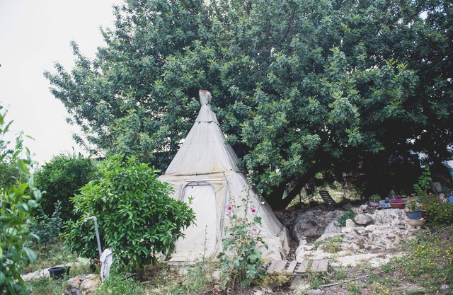 Galilee Bedouin Camplodge