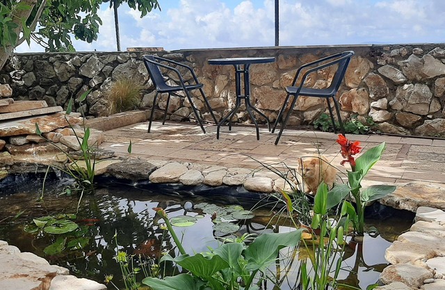 Garden apartment Galilee sea & mountains view, WiFi, BBQ, Air Conditioner 2