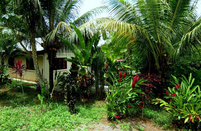 Garden Cabina / Bungalow next to Nauyaka WaterFalls