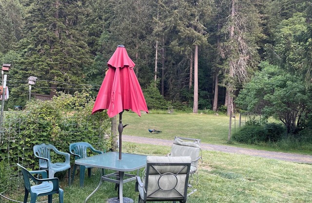 Garden Cottage tucked into the forest with 60" tv and air conditioning