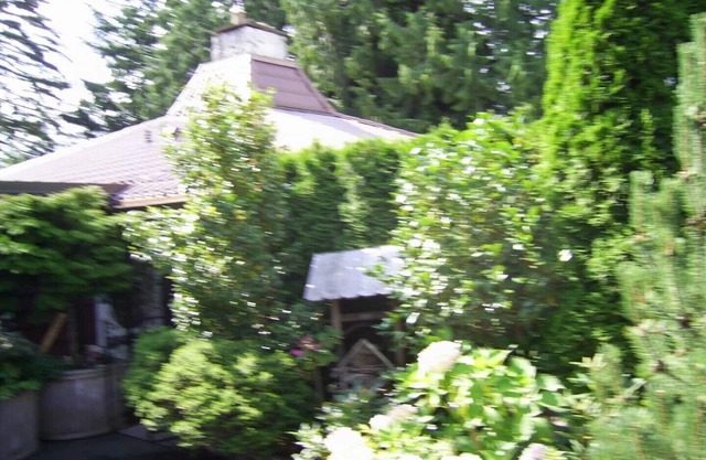Garden House befindet sich auf einem Hektar im Herzen der Stadt