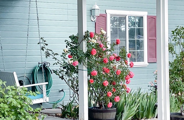 Garden Room at Bed & Breakfast