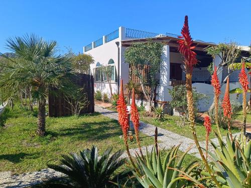 Garden & Sea
