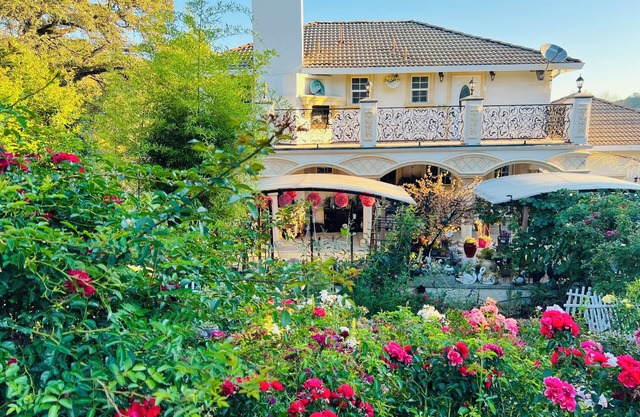 Garden View 3-bedroom house in charming El Dorado Hills with Wifi