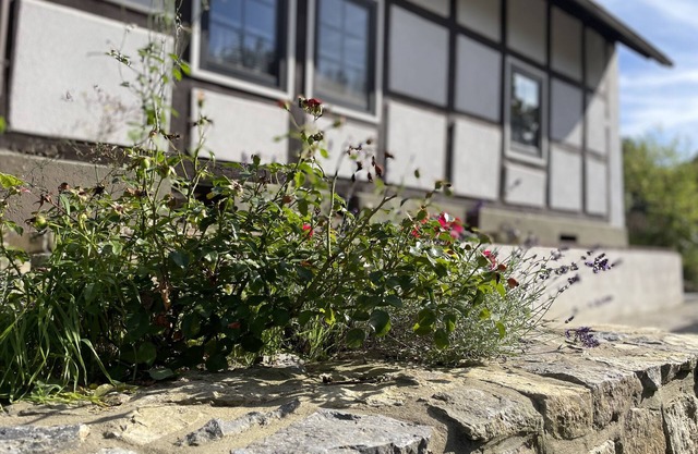 Gemütliches Fachwerkhaus im Kalletal (kinderfreundlich und haustierfreundlich)