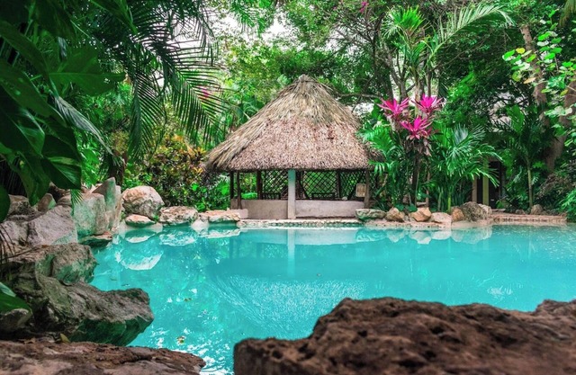 Genesis Eco Oasis