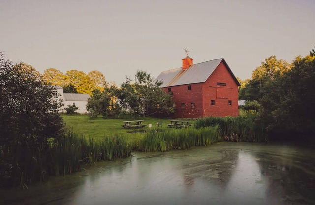 Genuine Farm! | The Homestead at Winterfound Farm