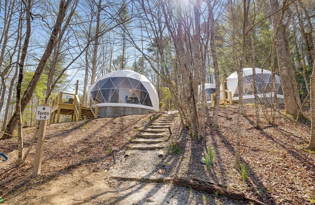 Geodesic Dome 3