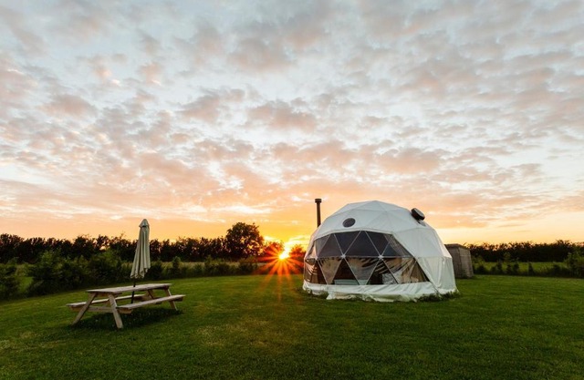Geodome Glamping in Somerset