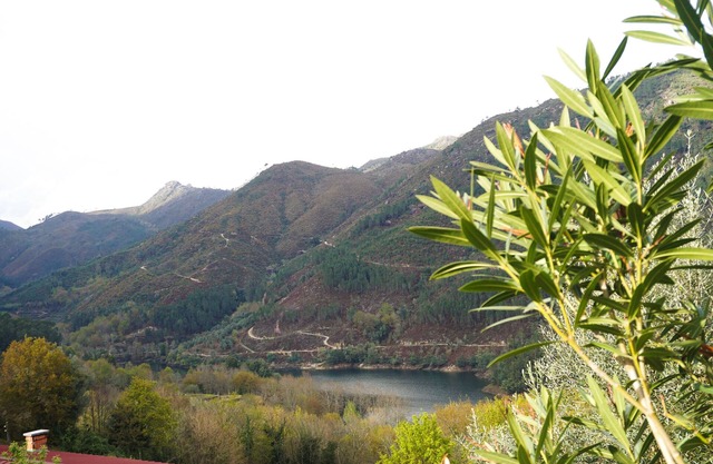 Geyra - Gerês Nature Home