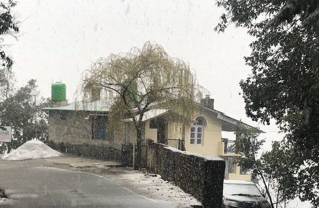 Ghar liegt inmitten der Natur, umgeben von dichten Eichenwäldern und Obstgärten