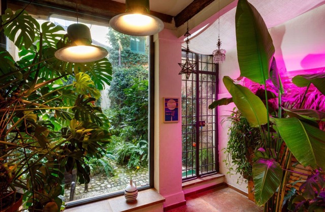 : ein Luxusapartment in der Innenstadt + Garten