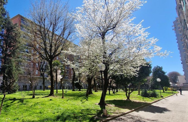 Giardino sul Naviglio