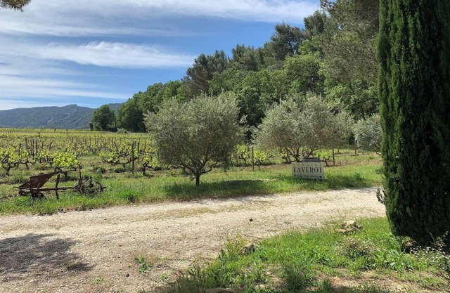Gîte Cerisier - in the Provencal farmhouse of Domaine Faverot