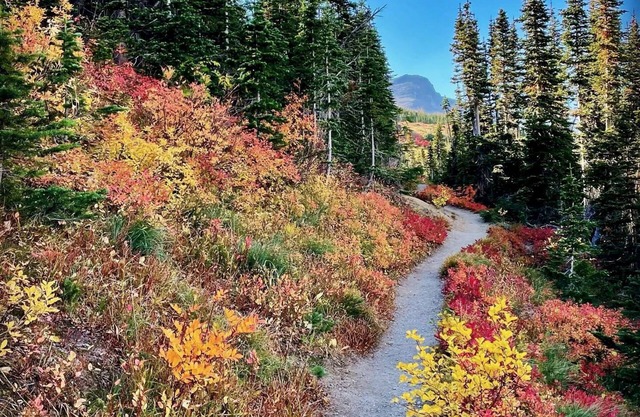 Glacier Park Condo