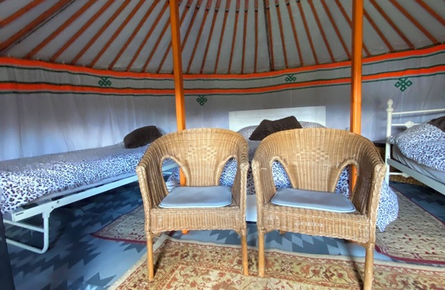 Glamping in Mongolian yurts in peaceful rural location in South Devon.