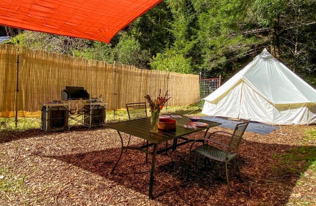 Glamping in the Redwoods
