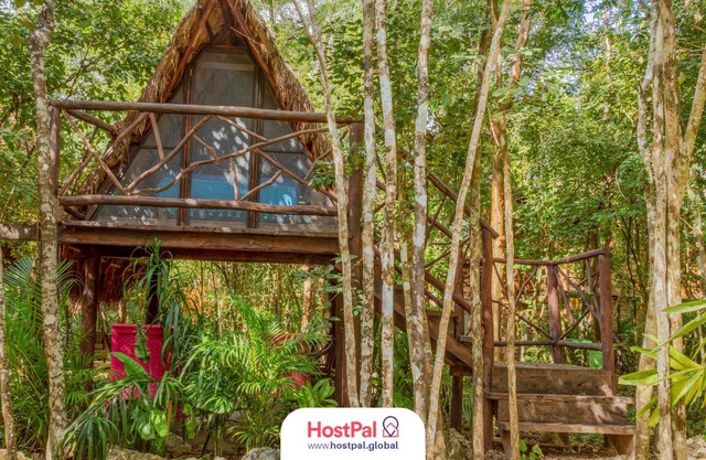 Glamping Luma | Encuentra tu zen en la jungla