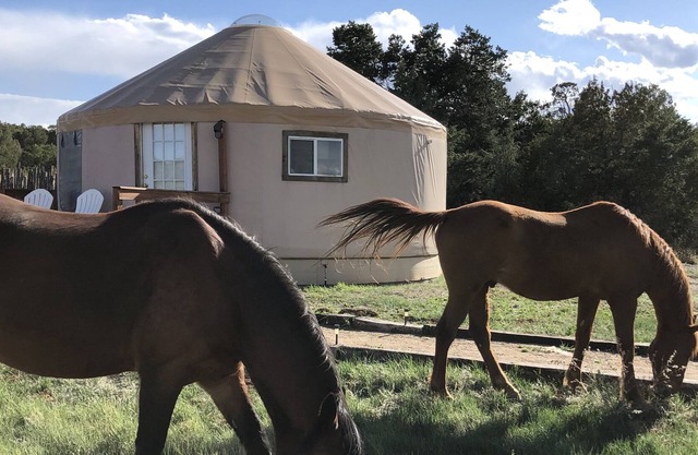 Glamping! Luxury Yurt enjoy the night sky & walking trail