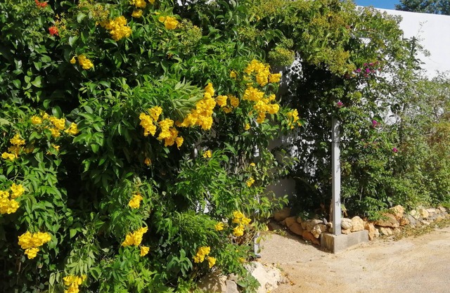 Glamping Parque Retiro dos Sonhos